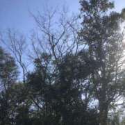 ヒメ日記 2026/01/18 13:18 投稿 海音【あまね】 丸妻 西船橋店