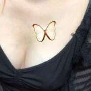 ヒメ日記 2026/01/28 00:46 投稿 海音【あまね】 丸妻 西船橋店