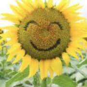 ヒメ日記 2026/02/01 04:22 投稿 海音【あまね】 丸妻 西船橋店