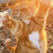 ヒメ日記 2026/02/04 08:00 投稿 海音【あまね】 丸妻 西船橋店