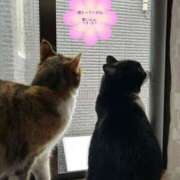 ヒメ日記 2026/02/08 07:17 投稿 海音【あまね】 丸妻 西船橋店