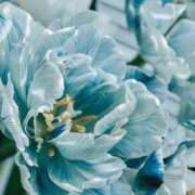 ヒメ日記 2026/02/09 12:17 投稿 海音【あまね】 丸妻 西船橋店