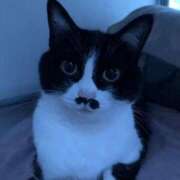 ヒメ日記 2026/02/10 11:24 投稿 海音【あまね】 丸妻 西船橋店