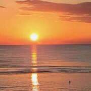 ヒメ日記 2026/02/13 04:28 投稿 海音【あまね】 丸妻 西船橋店