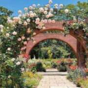 ヒメ日記 2026/02/19 08:17 投稿 海音【あまね】 丸妻 西船橋店