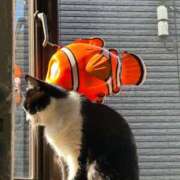 ヒメ日記 2026/02/22 10:46 投稿 海音【あまね】 丸妻 西船橋店