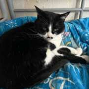 ヒメ日記 2026/02/22 17:18 投稿 海音【あまね】 丸妻 西船橋店