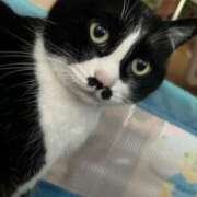 ヒメ日記 2026/02/25 11:59 投稿 海音【あまね】 丸妻 西船橋店