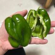 ヒメ日記 2026/02/26 20:33 投稿 海音【あまね】 丸妻 西船橋店