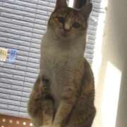 ヒメ日記 2026/02/28 09:05 投稿 海音【あまね】 丸妻 西船橋店