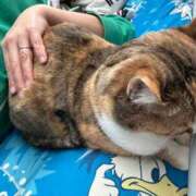 ヒメ日記 2026/02/28 13:02 投稿 海音【あまね】 丸妻 西船橋店