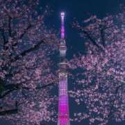 ヒメ日記 2026/03/03 04:48 投稿 海音【あまね】 丸妻 西船橋店