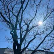ヒメ日記 2026/03/08 11:17 投稿 海音【あまね】 丸妻 西船橋店