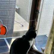 ヒメ日記 2026/03/14 10:03 投稿 海音【あまね】 丸妻 西船橋店