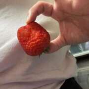 ヒメ日記 2026/03/19 07:27 投稿 海音【あまね】 丸妻 西船橋店