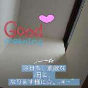 ヒメ日記 2026/03/25 06:05 投稿 海音【あまね】 丸妻 西船橋店