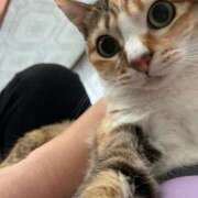 ヒメ日記 2026/03/26 07:41 投稿 海音【あまね】 丸妻 西船橋店