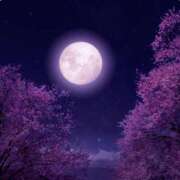 ヒメ日記 2026/04/02 22:38 投稿 海音【あまね】 丸妻 西船橋店