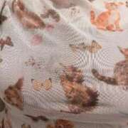 ヒメ日記 2026/04/14 09:48 投稿 海音【あまね】 丸妻 西船橋店