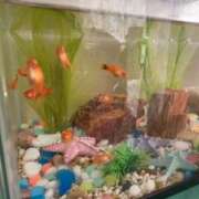 ヒメ日記 2026/04/16 10:22 投稿 海音【あまね】 丸妻 西船橋店