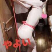 ヒメ日記 2026/04/27 17:22 投稿 やよい Lui（ルイ）
