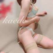 かえで 18時から🙋‍♀️ 大宮人妻デリヘル～大人の事情～