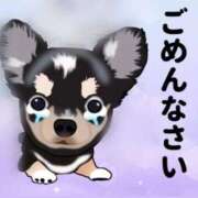 ヒメ日記 2026/04/18 14:16 投稿 かえで 大宮人妻デリヘル～大人の事情～
