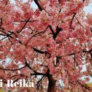 れいか Lui Lui（ルイ）