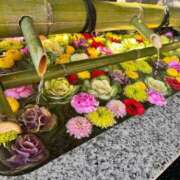 ヒメ日記 2026/01/02 10:48 投稿 りこ 大宮人妻デリヘル～大人の事情～