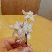 ヒメ日記 2026/03/07 20:24 投稿 りこ 大宮人妻デリヘル～大人の事情～