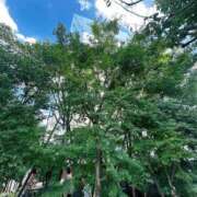 ヒメ日記 2026/01/17 10:21 投稿 あやせ 大宮人妻デリヘル～大人の事情～