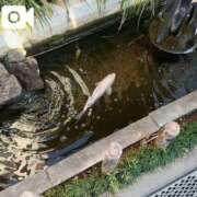 ヒメ日記 2026/01/20 10:52 投稿 あやせ 大宮人妻デリヘル～大人の事情～