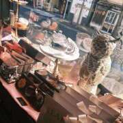 ヒメ日記 2026/02/13 12:29 投稿 あやせ 大宮人妻デリヘル～大人の事情～