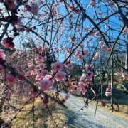 ヒメ日記 2026/02/23 10:15 投稿 あやせ 大宮人妻デリヘル～大人の事情～