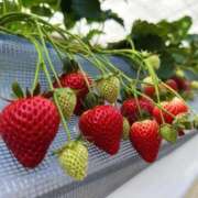 ヒメ日記 2026/02/24 08:15 投稿 あやせ 大宮人妻デリヘル～大人の事情～