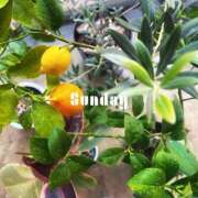 ヒメ日記 2026/03/01 15:35 投稿 あやせ 大宮人妻デリヘル～大人の事情～