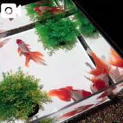 ヒメ日記 2026/03/03 10:05 投稿 あやせ 大宮人妻デリヘル～大人の事情～