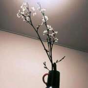 ヒメ日記 2026/03/13 09:05 投稿 あやせ 大宮人妻デリヘル～大人の事情～