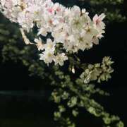 ヒメ日記 2026/03/31 01:05 投稿 あやせ 大宮人妻デリヘル～大人の事情～