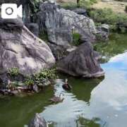 ヒメ日記 2026/04/04 15:15 投稿 あやせ 大宮人妻デリヘル～大人の事情～