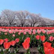 ヒメ日記 2026/04/05 10:15 投稿 あやせ 大宮人妻デリヘル～大人の事情～