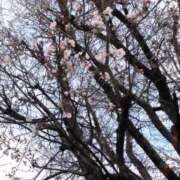 ヒメ日記 2026/04/08 10:15 投稿 あやせ 大宮人妻デリヘル～大人の事情～