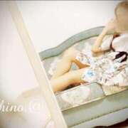 ヒメ日記 2025/04/04 13:40 投稿 すめらぎしの YDHやまぐちデリバリーヘルス（山口、新山口、防府、宇部）