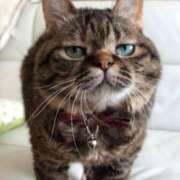 ヒメ日記 2025/01/28 11:48 投稿 れう 全裸SUPERプレミアム