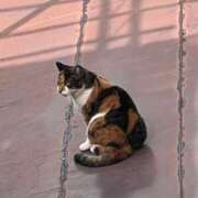 ヒメ日記 2025/10/02 08:26 投稿 れう 全裸SUPERプレミアム