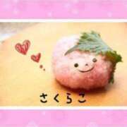 桜子(さくらこ) 6月出勤のお知らせ📢 DIVA-ディーバ-【DIVAグループ】