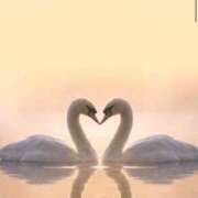 ヒメ日記 2025/10/29 04:56 投稿 あかり ちゃんこ東大阪 布施・長田店