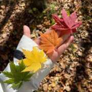 ヒメ日記 2025/11/12 08:35 投稿 あかり ちゃんこ東大阪 布施・長田店