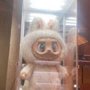 ヒメ日記 2025/11/12 21:20 投稿 あかり ちゃんこ東大阪 布施・長田店