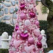 ヒメ日記 2025/11/21 18:33 投稿 あかり ちゃんこ東大阪 布施・長田店